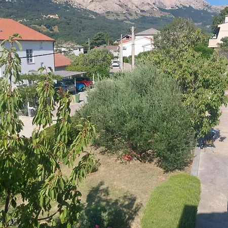 Apartment Vasilic *